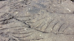 Interesting fractures in the rock.