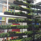 Interesting take on vertical gardening, next to the Container Store at 22 Fourth.